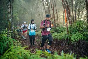 BIB: 
                            <button type="button" onclick="openModal(26443905)" class="btn btn-primary btn-sm float-right btn-popup" data-toggle="modal" data-target=".modal-high-quality">
                        <i class="fas fa-shopping-cart"></i> Add to Cart
                    </button>
                                            <button type="button" onclick="isThisMe(26443905, true)" class="btn btn-success btn-sm float-right btn-popup btn-isme hidden" data-toggle="tooltip" data-placement="bottom" title="นี่คือรูปของคุณใช่ไหม คลิกที่นี่เพื่อเอาเข้าอัลบั้ม">
                        <i class="fas fa-plus"></i> Add to album
                    </button>
                    <button type="button" onclick="isThisMe(26443905, false)" class="btn btn-warning btn-sm float-right btn-popup btn-isnotme hidden">
                        <i class="fas fa-ban"></i> Remove from album
                    </button>