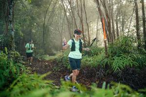 BIB: 
                            <button type="button" onclick="openModal(26445792)" class="btn btn-primary btn-sm float-right btn-popup" data-toggle="modal" data-target=".modal-high-quality">
                        <i class="fas fa-shopping-cart"></i> Add to Cart
                    </button>
                                            <button type="button" onclick="isThisMe(26445792, true)" class="btn btn-success btn-sm float-right btn-popup btn-isme hidden" data-toggle="tooltip" data-placement="bottom" title="นี่คือรูปของคุณใช่ไหม คลิกที่นี่เพื่อเอาเข้าอัลบั้ม">
                        <i class="fas fa-plus"></i> Add to album
                    </button>
                    <button type="button" onclick="isThisMe(26445792, false)" class="btn btn-warning btn-sm float-right btn-popup btn-isnotme hidden">
                        <i class="fas fa-ban"></i> Remove from album
                    </button>