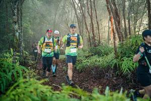 BIB: 
                            <button type="button" onclick="openModal(26443960)" class="btn btn-primary btn-sm float-right btn-popup" data-toggle="modal" data-target=".modal-high-quality">
                        <i class="fas fa-shopping-cart"></i> Add to Cart
                    </button>
                                            <button type="button" onclick="isThisMe(26443960, true)" class="btn btn-success btn-sm float-right btn-popup btn-isme hidden" data-toggle="tooltip" data-placement="bottom" title="นี่คือรูปของคุณใช่ไหม คลิกที่นี่เพื่อเอาเข้าอัลบั้ม">
                        <i class="fas fa-plus"></i> Add to album
                    </button>
                    <button type="button" onclick="isThisMe(26443960, false)" class="btn btn-warning btn-sm float-right btn-popup btn-isnotme hidden">
                        <i class="fas fa-ban"></i> Remove from album
                    </button>