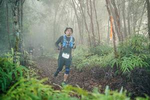 BIB: 
                            <button type="button" onclick="openModal(26445301)" class="btn btn-primary btn-sm float-right btn-popup" data-toggle="modal" data-target=".modal-high-quality">
                        <i class="fas fa-shopping-cart"></i> Add to Cart
                    </button>
                                            <button type="button" onclick="isThisMe(26445301, true)" class="btn btn-success btn-sm float-right btn-popup btn-isme hidden" data-toggle="tooltip" data-placement="bottom" title="นี่คือรูปของคุณใช่ไหม คลิกที่นี่เพื่อเอาเข้าอัลบั้ม">
                        <i class="fas fa-plus"></i> Add to album
                    </button>
                    <button type="button" onclick="isThisMe(26445301, false)" class="btn btn-warning btn-sm float-right btn-popup btn-isnotme hidden">
                        <i class="fas fa-ban"></i> Remove from album
                    </button>