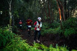 BIB: 
                            <button type="button" onclick="openModal(26440421)" class="btn btn-primary btn-sm float-right btn-popup" data-toggle="modal" data-target=".modal-high-quality">
                        <i class="fas fa-shopping-cart"></i> Add to Cart
                    </button>
                                            <button type="button" onclick="isThisMe(26440421, true)" class="btn btn-success btn-sm float-right btn-popup btn-isme hidden" data-toggle="tooltip" data-placement="bottom" title="นี่คือรูปของคุณใช่ไหม คลิกที่นี่เพื่อเอาเข้าอัลบั้ม">
                        <i class="fas fa-plus"></i> Add to album
                    </button>
                    <button type="button" onclick="isThisMe(26440421, false)" class="btn btn-warning btn-sm float-right btn-popup btn-isnotme hidden">
                        <i class="fas fa-ban"></i> Remove from album
                    </button>