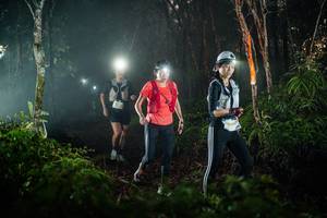 BIB: 
                            <button type="button" onclick="openModal(26432638)" class="btn btn-primary btn-sm float-right btn-popup" data-toggle="modal" data-target=".modal-high-quality">
                        <i class="fas fa-shopping-cart"></i> Add to Cart
                    </button>
                                            <button type="button" onclick="isThisMe(26432638, true)" class="btn btn-success btn-sm float-right btn-popup btn-isme hidden" data-toggle="tooltip" data-placement="bottom" title="นี่คือรูปของคุณใช่ไหม คลิกที่นี่เพื่อเอาเข้าอัลบั้ม">
                        <i class="fas fa-plus"></i> Add to album
                    </button>
                    <button type="button" onclick="isThisMe(26432638, false)" class="btn btn-warning btn-sm float-right btn-popup btn-isnotme hidden">
                        <i class="fas fa-ban"></i> Remove from album
                    </button>