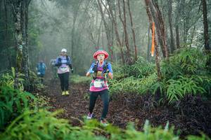 BIB: 
                            <button type="button" onclick="openModal(26444939)" class="btn btn-primary btn-sm float-right btn-popup" data-toggle="modal" data-target=".modal-high-quality">
                        <i class="fas fa-shopping-cart"></i> Add to Cart
                    </button>
                                            <button type="button" onclick="isThisMe(26444939, true)" class="btn btn-success btn-sm float-right btn-popup btn-isme hidden" data-toggle="tooltip" data-placement="bottom" title="นี่คือรูปของคุณใช่ไหม คลิกที่นี่เพื่อเอาเข้าอัลบั้ม">
                        <i class="fas fa-plus"></i> Add to album
                    </button>
                    <button type="button" onclick="isThisMe(26444939, false)" class="btn btn-warning btn-sm float-right btn-popup btn-isnotme hidden">
                        <i class="fas fa-ban"></i> Remove from album
                    </button>