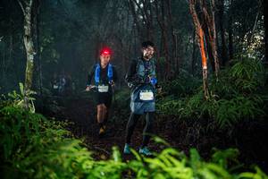 BIB: 
                            <button type="button" onclick="openModal(26437242)" class="btn btn-primary btn-sm float-right btn-popup" data-toggle="modal" data-target=".modal-high-quality">
                        <i class="fas fa-shopping-cart"></i> Add to Cart
                    </button>
                                            <button type="button" onclick="isThisMe(26437242, true)" class="btn btn-success btn-sm float-right btn-popup btn-isme hidden" data-toggle="tooltip" data-placement="bottom" title="นี่คือรูปของคุณใช่ไหม คลิกที่นี่เพื่อเอาเข้าอัลบั้ม">
                        <i class="fas fa-plus"></i> Add to album
                    </button>
                    <button type="button" onclick="isThisMe(26437242, false)" class="btn btn-warning btn-sm float-right btn-popup btn-isnotme hidden">
                        <i class="fas fa-ban"></i> Remove from album
                    </button>