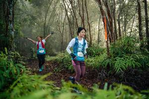 BIB: 
                            <button type="button" onclick="openModal(26445724)" class="btn btn-primary btn-sm float-right btn-popup" data-toggle="modal" data-target=".modal-high-quality">
                        <i class="fas fa-shopping-cart"></i> Add to Cart
                    </button>
                                            <button type="button" onclick="isThisMe(26445724, true)" class="btn btn-success btn-sm float-right btn-popup btn-isme hidden" data-toggle="tooltip" data-placement="bottom" title="นี่คือรูปของคุณใช่ไหม คลิกที่นี่เพื่อเอาเข้าอัลบั้ม">
                        <i class="fas fa-plus"></i> Add to album
                    </button>
                    <button type="button" onclick="isThisMe(26445724, false)" class="btn btn-warning btn-sm float-right btn-popup btn-isnotme hidden">
                        <i class="fas fa-ban"></i> Remove from album
                    </button>