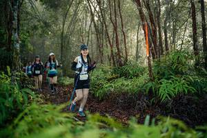 BIB: 
                            <button type="button" onclick="openModal(26445650)" class="btn btn-primary btn-sm float-right btn-popup" data-toggle="modal" data-target=".modal-high-quality">
                        <i class="fas fa-shopping-cart"></i> Add to Cart
                    </button>
                                            <button type="button" onclick="isThisMe(26445650, true)" class="btn btn-success btn-sm float-right btn-popup btn-isme hidden" data-toggle="tooltip" data-placement="bottom" title="นี่คือรูปของคุณใช่ไหม คลิกที่นี่เพื่อเอาเข้าอัลบั้ม">
                        <i class="fas fa-plus"></i> Add to album
                    </button>
                    <button type="button" onclick="isThisMe(26445650, false)" class="btn btn-warning btn-sm float-right btn-popup btn-isnotme hidden">
                        <i class="fas fa-ban"></i> Remove from album
                    </button>