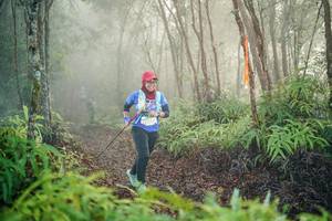 BIB: 
                            <button type="button" onclick="openModal(26445407)" class="btn btn-primary btn-sm float-right btn-popup" data-toggle="modal" data-target=".modal-high-quality">
                        <i class="fas fa-shopping-cart"></i> Add to Cart
                    </button>
                                            <button type="button" onclick="isThisMe(26445407, true)" class="btn btn-success btn-sm float-right btn-popup btn-isme hidden" data-toggle="tooltip" data-placement="bottom" title="นี่คือรูปของคุณใช่ไหม คลิกที่นี่เพื่อเอาเข้าอัลบั้ม">
                        <i class="fas fa-plus"></i> Add to album
                    </button>
                    <button type="button" onclick="isThisMe(26445407, false)" class="btn btn-warning btn-sm float-right btn-popup btn-isnotme hidden">
                        <i class="fas fa-ban"></i> Remove from album
                    </button>