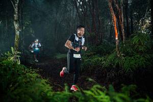 BIB: 
                            <button type="button" onclick="openModal(26436755)" class="btn btn-primary btn-sm float-right btn-popup" data-toggle="modal" data-target=".modal-high-quality">
                        <i class="fas fa-shopping-cart"></i> Add to Cart
                    </button>
                                            <button type="button" onclick="isThisMe(26436755, true)" class="btn btn-success btn-sm float-right btn-popup btn-isme hidden" data-toggle="tooltip" data-placement="bottom" title="นี่คือรูปของคุณใช่ไหม คลิกที่นี่เพื่อเอาเข้าอัลบั้ม">
                        <i class="fas fa-plus"></i> Add to album
                    </button>
                    <button type="button" onclick="isThisMe(26436755, false)" class="btn btn-warning btn-sm float-right btn-popup btn-isnotme hidden">
                        <i class="fas fa-ban"></i> Remove from album
                    </button>