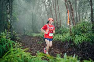 BIB: 
                            <button type="button" onclick="openModal(26444890)" class="btn btn-primary btn-sm float-right btn-popup" data-toggle="modal" data-target=".modal-high-quality">
                        <i class="fas fa-shopping-cart"></i> Add to Cart
                    </button>
                                            <button type="button" onclick="isThisMe(26444890, true)" class="btn btn-success btn-sm float-right btn-popup btn-isme hidden" data-toggle="tooltip" data-placement="bottom" title="นี่คือรูปของคุณใช่ไหม คลิกที่นี่เพื่อเอาเข้าอัลบั้ม">
                        <i class="fas fa-plus"></i> Add to album
                    </button>
                    <button type="button" onclick="isThisMe(26444890, false)" class="btn btn-warning btn-sm float-right btn-popup btn-isnotme hidden">
                        <i class="fas fa-ban"></i> Remove from album
                    </button>