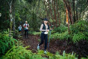 BIB: 
                            <button type="button" onclick="openModal(26443153)" class="btn btn-primary btn-sm float-right btn-popup" data-toggle="modal" data-target=".modal-high-quality">
                        <i class="fas fa-shopping-cart"></i> Add to Cart
                    </button>
                                            <button type="button" onclick="isThisMe(26443153, true)" class="btn btn-success btn-sm float-right btn-popup btn-isme hidden" data-toggle="tooltip" data-placement="bottom" title="นี่คือรูปของคุณใช่ไหม คลิกที่นี่เพื่อเอาเข้าอัลบั้ม">
                        <i class="fas fa-plus"></i> Add to album
                    </button>
                    <button type="button" onclick="isThisMe(26443153, false)" class="btn btn-warning btn-sm float-right btn-popup btn-isnotme hidden">
                        <i class="fas fa-ban"></i> Remove from album
                    </button>