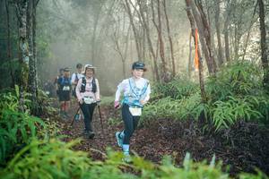 BIB: 
                            <button type="button" onclick="openModal(26444164)" class="btn btn-primary btn-sm float-right btn-popup" data-toggle="modal" data-target=".modal-high-quality">
                        <i class="fas fa-shopping-cart"></i> Add to Cart
                    </button>
                                            <button type="button" onclick="isThisMe(26444164, true)" class="btn btn-success btn-sm float-right btn-popup btn-isme hidden" data-toggle="tooltip" data-placement="bottom" title="นี่คือรูปของคุณใช่ไหม คลิกที่นี่เพื่อเอาเข้าอัลบั้ม">
                        <i class="fas fa-plus"></i> Add to album
                    </button>
                    <button type="button" onclick="isThisMe(26444164, false)" class="btn btn-warning btn-sm float-right btn-popup btn-isnotme hidden">
                        <i class="fas fa-ban"></i> Remove from album
                    </button>