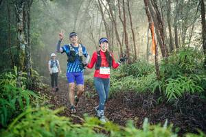 BIB: 
                            <button type="button" onclick="openModal(26444381)" class="btn btn-primary btn-sm float-right btn-popup" data-toggle="modal" data-target=".modal-high-quality">
                        <i class="fas fa-shopping-cart"></i> Add to Cart
                    </button>
                                            <button type="button" onclick="isThisMe(26444381, true)" class="btn btn-success btn-sm float-right btn-popup btn-isme hidden" data-toggle="tooltip" data-placement="bottom" title="นี่คือรูปของคุณใช่ไหม คลิกที่นี่เพื่อเอาเข้าอัลบั้ม">
                        <i class="fas fa-plus"></i> Add to album
                    </button>
                    <button type="button" onclick="isThisMe(26444381, false)" class="btn btn-warning btn-sm float-right btn-popup btn-isnotme hidden">
                        <i class="fas fa-ban"></i> Remove from album
                    </button>