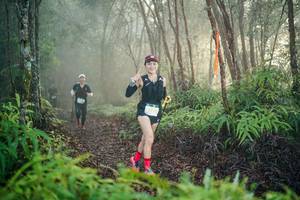 BIB: 
                            <button type="button" onclick="openModal(26444705)" class="btn btn-primary btn-sm float-right btn-popup" data-toggle="modal" data-target=".modal-high-quality">
                        <i class="fas fa-shopping-cart"></i> Add to Cart
                    </button>
                                            <button type="button" onclick="isThisMe(26444705, true)" class="btn btn-success btn-sm float-right btn-popup btn-isme hidden" data-toggle="tooltip" data-placement="bottom" title="นี่คือรูปของคุณใช่ไหม คลิกที่นี่เพื่อเอาเข้าอัลบั้ม">
                        <i class="fas fa-plus"></i> Add to album
                    </button>
                    <button type="button" onclick="isThisMe(26444705, false)" class="btn btn-warning btn-sm float-right btn-popup btn-isnotme hidden">
                        <i class="fas fa-ban"></i> Remove from album
                    </button>