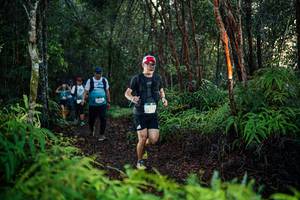 BIB: 
                            <button type="button" onclick="openModal(26440639)" class="btn btn-primary btn-sm float-right btn-popup" data-toggle="modal" data-target=".modal-high-quality">
                        <i class="fas fa-shopping-cart"></i> Add to Cart
                    </button>
                                            <button type="button" onclick="isThisMe(26440639, true)" class="btn btn-success btn-sm float-right btn-popup btn-isme hidden" data-toggle="tooltip" data-placement="bottom" title="นี่คือรูปของคุณใช่ไหม คลิกที่นี่เพื่อเอาเข้าอัลบั้ม">
                        <i class="fas fa-plus"></i> Add to album
                    </button>
                    <button type="button" onclick="isThisMe(26440639, false)" class="btn btn-warning btn-sm float-right btn-popup btn-isnotme hidden">
                        <i class="fas fa-ban"></i> Remove from album
                    </button>