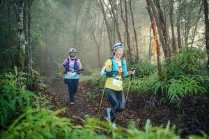 BIB: 
                            <button type="button" onclick="openModal(26444444)" class="btn btn-primary btn-sm float-right btn-popup" data-toggle="modal" data-target=".modal-high-quality">
                        <i class="fas fa-shopping-cart"></i> Add to Cart
                    </button>
                                            <button type="button" onclick="isThisMe(26444444, true)" class="btn btn-success btn-sm float-right btn-popup btn-isme hidden" data-toggle="tooltip" data-placement="bottom" title="นี่คือรูปของคุณใช่ไหม คลิกที่นี่เพื่อเอาเข้าอัลบั้ม">
                        <i class="fas fa-plus"></i> Add to album
                    </button>
                    <button type="button" onclick="isThisMe(26444444, false)" class="btn btn-warning btn-sm float-right btn-popup btn-isnotme hidden">
                        <i class="fas fa-ban"></i> Remove from album
                    </button>