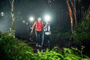 BIB: 
                            <button type="button" onclick="openModal(26432591)" class="btn btn-primary btn-sm float-right btn-popup" data-toggle="modal" data-target=".modal-high-quality">
                        <i class="fas fa-shopping-cart"></i> Add to Cart
                    </button>
                                            <button type="button" onclick="isThisMe(26432591, true)" class="btn btn-success btn-sm float-right btn-popup btn-isme hidden" data-toggle="tooltip" data-placement="bottom" title="นี่คือรูปของคุณใช่ไหม คลิกที่นี่เพื่อเอาเข้าอัลบั้ม">
                        <i class="fas fa-plus"></i> Add to album
                    </button>
                    <button type="button" onclick="isThisMe(26432591, false)" class="btn btn-warning btn-sm float-right btn-popup btn-isnotme hidden">
                        <i class="fas fa-ban"></i> Remove from album
                    </button>