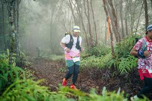 BIB: 
                            <button type="button" onclick="openModal(26445183)" class="btn btn-primary btn-sm float-right btn-popup" data-toggle="modal" data-target=".modal-high-quality">
                        <i class="fas fa-shopping-cart"></i> Add to Cart
                    </button>
                                            <button type="button" onclick="isThisMe(26445183, true)" class="btn btn-success btn-sm float-right btn-popup btn-isme hidden" data-toggle="tooltip" data-placement="bottom" title="นี่คือรูปของคุณใช่ไหม คลิกที่นี่เพื่อเอาเข้าอัลบั้ม">
                        <i class="fas fa-plus"></i> Add to album
                    </button>
                    <button type="button" onclick="isThisMe(26445183, false)" class="btn btn-warning btn-sm float-right btn-popup btn-isnotme hidden">
                        <i class="fas fa-ban"></i> Remove from album
                    </button>