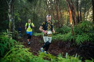 BIB: 
                            <button type="button" onclick="openModal(26441797)" class="btn btn-primary btn-sm float-right btn-popup" data-toggle="modal" data-target=".modal-high-quality">
                        <i class="fas fa-shopping-cart"></i> Add to Cart
                    </button>
                                            <button type="button" onclick="isThisMe(26441797, true)" class="btn btn-success btn-sm float-right btn-popup btn-isme hidden" data-toggle="tooltip" data-placement="bottom" title="นี่คือรูปของคุณใช่ไหม คลิกที่นี่เพื่อเอาเข้าอัลบั้ม">
                        <i class="fas fa-plus"></i> Add to album
                    </button>
                    <button type="button" onclick="isThisMe(26441797, false)" class="btn btn-warning btn-sm float-right btn-popup btn-isnotme hidden">
                        <i class="fas fa-ban"></i> Remove from album
                    </button>