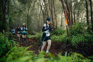 BIB: 
                            <button type="button" onclick="openModal(26445670)" class="btn btn-primary btn-sm float-right btn-popup" data-toggle="modal" data-target=".modal-high-quality">
                        <i class="fas fa-shopping-cart"></i> Add to Cart
                    </button>
                                            <button type="button" onclick="isThisMe(26445670, true)" class="btn btn-success btn-sm float-right btn-popup btn-isme hidden" data-toggle="tooltip" data-placement="bottom" title="นี่คือรูปของคุณใช่ไหม คลิกที่นี่เพื่อเอาเข้าอัลบั้ม">
                        <i class="fas fa-plus"></i> Add to album
                    </button>
                    <button type="button" onclick="isThisMe(26445670, false)" class="btn btn-warning btn-sm float-right btn-popup btn-isnotme hidden">
                        <i class="fas fa-ban"></i> Remove from album
                    </button>