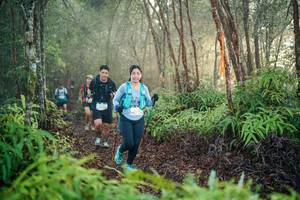 BIB: 
                            <button type="button" onclick="openModal(26443786)" class="btn btn-primary btn-sm float-right btn-popup" data-toggle="modal" data-target=".modal-high-quality">
                        <i class="fas fa-shopping-cart"></i> Add to Cart
                    </button>
                                            <button type="button" onclick="isThisMe(26443786, true)" class="btn btn-success btn-sm float-right btn-popup btn-isme hidden" data-toggle="tooltip" data-placement="bottom" title="นี่คือรูปของคุณใช่ไหม คลิกที่นี่เพื่อเอาเข้าอัลบั้ม">
                        <i class="fas fa-plus"></i> Add to album
                    </button>
                    <button type="button" onclick="isThisMe(26443786, false)" class="btn btn-warning btn-sm float-right btn-popup btn-isnotme hidden">
                        <i class="fas fa-ban"></i> Remove from album
                    </button>