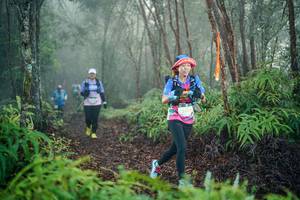 BIB: 
                            <button type="button" onclick="openModal(26444947)" class="btn btn-primary btn-sm float-right btn-popup" data-toggle="modal" data-target=".modal-high-quality">
                        <i class="fas fa-shopping-cart"></i> Add to Cart
                    </button>
                                            <button type="button" onclick="isThisMe(26444947, true)" class="btn btn-success btn-sm float-right btn-popup btn-isme hidden" data-toggle="tooltip" data-placement="bottom" title="นี่คือรูปของคุณใช่ไหม คลิกที่นี่เพื่อเอาเข้าอัลบั้ม">
                        <i class="fas fa-plus"></i> Add to album
                    </button>
                    <button type="button" onclick="isThisMe(26444947, false)" class="btn btn-warning btn-sm float-right btn-popup btn-isnotme hidden">
                        <i class="fas fa-ban"></i> Remove from album
                    </button>