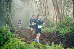 BIB: 
                            <button type="button" onclick="openModal(26445315)" class="btn btn-primary btn-sm float-right btn-popup" data-toggle="modal" data-target=".modal-high-quality">
                        <i class="fas fa-shopping-cart"></i> Add to Cart
                    </button>
                                            <button type="button" onclick="isThisMe(26445315, true)" class="btn btn-success btn-sm float-right btn-popup btn-isme hidden" data-toggle="tooltip" data-placement="bottom" title="นี่คือรูปของคุณใช่ไหม คลิกที่นี่เพื่อเอาเข้าอัลบั้ม">
                        <i class="fas fa-plus"></i> Add to album
                    </button>
                    <button type="button" onclick="isThisMe(26445315, false)" class="btn btn-warning btn-sm float-right btn-popup btn-isnotme hidden">
                        <i class="fas fa-ban"></i> Remove from album
                    </button>