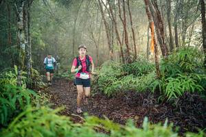 BIB: 
                            <button type="button" onclick="openModal(26443812)" class="btn btn-primary btn-sm float-right btn-popup" data-toggle="modal" data-target=".modal-high-quality">
                        <i class="fas fa-shopping-cart"></i> Add to Cart
                    </button>
                                            <button type="button" onclick="isThisMe(26443812, true)" class="btn btn-success btn-sm float-right btn-popup btn-isme hidden" data-toggle="tooltip" data-placement="bottom" title="นี่คือรูปของคุณใช่ไหม คลิกที่นี่เพื่อเอาเข้าอัลบั้ม">
                        <i class="fas fa-plus"></i> Add to album
                    </button>
                    <button type="button" onclick="isThisMe(26443812, false)" class="btn btn-warning btn-sm float-right btn-popup btn-isnotme hidden">
                        <i class="fas fa-ban"></i> Remove from album
                    </button>