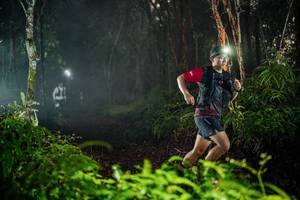 BIB: 
                            <button type="button" onclick="openModal(26433899)" class="btn btn-primary btn-sm float-right btn-popup" data-toggle="modal" data-target=".modal-high-quality">
                        <i class="fas fa-shopping-cart"></i> Add to Cart
                    </button>
                                            <button type="button" onclick="isThisMe(26433899, true)" class="btn btn-success btn-sm float-right btn-popup btn-isme hidden" data-toggle="tooltip" data-placement="bottom" title="นี่คือรูปของคุณใช่ไหม คลิกที่นี่เพื่อเอาเข้าอัลบั้ม">
                        <i class="fas fa-plus"></i> Add to album
                    </button>
                    <button type="button" onclick="isThisMe(26433899, false)" class="btn btn-warning btn-sm float-right btn-popup btn-isnotme hidden">
                        <i class="fas fa-ban"></i> Remove from album
                    </button>