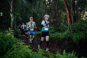 BIB: 
                            <button type="button" onclick="openModal(26440292)" class="btn btn-primary btn-sm float-right btn-popup" data-toggle="modal" data-target=".modal-high-quality">
                        <i class="fas fa-shopping-cart"></i> Add to Cart
                    </button>
                                            <button type="button" onclick="isThisMe(26440292, true)" class="btn btn-success btn-sm float-right btn-popup btn-isme hidden" data-toggle="tooltip" data-placement="bottom" title="นี่คือรูปของคุณใช่ไหม คลิกที่นี่เพื่อเอาเข้าอัลบั้ม">
                        <i class="fas fa-plus"></i> Add to album
                    </button>
                    <button type="button" onclick="isThisMe(26440292, false)" class="btn btn-warning btn-sm float-right btn-popup btn-isnotme hidden">
                        <i class="fas fa-ban"></i> Remove from album
                    </button>