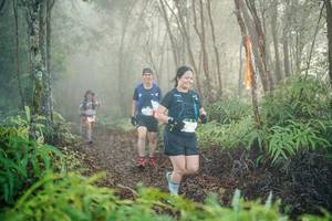 BIB: 
                            <button type="button" onclick="openModal(26445316)" class="btn btn-primary btn-sm float-right btn-popup" data-toggle="modal" data-target=".modal-high-quality">
                        <i class="fas fa-shopping-cart"></i> Add to Cart
                    </button>
                                            <button type="button" onclick="isThisMe(26445316, true)" class="btn btn-success btn-sm float-right btn-popup btn-isme hidden" data-toggle="tooltip" data-placement="bottom" title="นี่คือรูปของคุณใช่ไหม คลิกที่นี่เพื่อเอาเข้าอัลบั้ม">
                        <i class="fas fa-plus"></i> Add to album
                    </button>
                    <button type="button" onclick="isThisMe(26445316, false)" class="btn btn-warning btn-sm float-right btn-popup btn-isnotme hidden">
                        <i class="fas fa-ban"></i> Remove from album
                    </button>