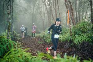 BIB: 
                            <button type="button" onclick="openModal(26445124)" class="btn btn-primary btn-sm float-right btn-popup" data-toggle="modal" data-target=".modal-high-quality">
                        <i class="fas fa-shopping-cart"></i> Add to Cart
                    </button>
                                            <button type="button" onclick="isThisMe(26445124, true)" class="btn btn-success btn-sm float-right btn-popup btn-isme hidden" data-toggle="tooltip" data-placement="bottom" title="นี่คือรูปของคุณใช่ไหม คลิกที่นี่เพื่อเอาเข้าอัลบั้ม">
                        <i class="fas fa-plus"></i> Add to album
                    </button>
                    <button type="button" onclick="isThisMe(26445124, false)" class="btn btn-warning btn-sm float-right btn-popup btn-isnotme hidden">
                        <i class="fas fa-ban"></i> Remove from album
                    </button>