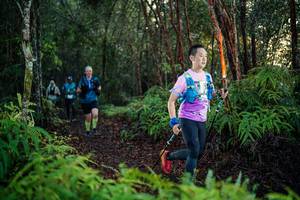 BIB: 
                            <button type="button" onclick="openModal(26441086)" class="btn btn-primary btn-sm float-right btn-popup" data-toggle="modal" data-target=".modal-high-quality">
                        <i class="fas fa-shopping-cart"></i> Add to Cart
                    </button>
                                            <button type="button" onclick="isThisMe(26441086, true)" class="btn btn-success btn-sm float-right btn-popup btn-isme hidden" data-toggle="tooltip" data-placement="bottom" title="นี่คือรูปของคุณใช่ไหม คลิกที่นี่เพื่อเอาเข้าอัลบั้ม">
                        <i class="fas fa-plus"></i> Add to album
                    </button>
                    <button type="button" onclick="isThisMe(26441086, false)" class="btn btn-warning btn-sm float-right btn-popup btn-isnotme hidden">
                        <i class="fas fa-ban"></i> Remove from album
                    </button>