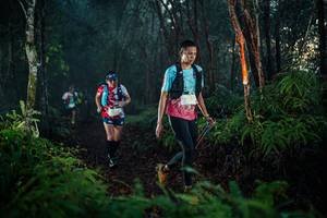 BIB: 
                            <button type="button" onclick="openModal(26438021)" class="btn btn-primary btn-sm float-right btn-popup" data-toggle="modal" data-target=".modal-high-quality">
                        <i class="fas fa-shopping-cart"></i> Add to Cart
                    </button>
                                            <button type="button" onclick="isThisMe(26438021, true)" class="btn btn-success btn-sm float-right btn-popup btn-isme hidden" data-toggle="tooltip" data-placement="bottom" title="นี่คือรูปของคุณใช่ไหม คลิกที่นี่เพื่อเอาเข้าอัลบั้ม">
                        <i class="fas fa-plus"></i> Add to album
                    </button>
                    <button type="button" onclick="isThisMe(26438021, false)" class="btn btn-warning btn-sm float-right btn-popup btn-isnotme hidden">
                        <i class="fas fa-ban"></i> Remove from album
                    </button>