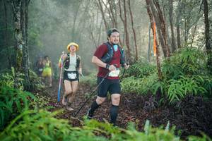 BIB: 
                            <button type="button" onclick="openModal(26444768)" class="btn btn-primary btn-sm float-right btn-popup" data-toggle="modal" data-target=".modal-high-quality">
                        <i class="fas fa-shopping-cart"></i> Add to Cart
                    </button>
                                            <button type="button" onclick="isThisMe(26444768, true)" class="btn btn-success btn-sm float-right btn-popup btn-isme hidden" data-toggle="tooltip" data-placement="bottom" title="นี่คือรูปของคุณใช่ไหม คลิกที่นี่เพื่อเอาเข้าอัลบั้ม">
                        <i class="fas fa-plus"></i> Add to album
                    </button>
                    <button type="button" onclick="isThisMe(26444768, false)" class="btn btn-warning btn-sm float-right btn-popup btn-isnotme hidden">
                        <i class="fas fa-ban"></i> Remove from album
                    </button>