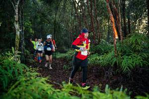 BIB: 
                            <button type="button" onclick="openModal(26440859)" class="btn btn-primary btn-sm float-right btn-popup" data-toggle="modal" data-target=".modal-high-quality">
                        <i class="fas fa-shopping-cart"></i> Add to Cart
                    </button>
                                            <button type="button" onclick="isThisMe(26440859, true)" class="btn btn-success btn-sm float-right btn-popup btn-isme hidden" data-toggle="tooltip" data-placement="bottom" title="นี่คือรูปของคุณใช่ไหม คลิกที่นี่เพื่อเอาเข้าอัลบั้ม">
                        <i class="fas fa-plus"></i> Add to album
                    </button>
                    <button type="button" onclick="isThisMe(26440859, false)" class="btn btn-warning btn-sm float-right btn-popup btn-isnotme hidden">
                        <i class="fas fa-ban"></i> Remove from album
                    </button>