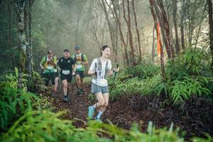 BIB: 
                            <button type="button" onclick="openModal(26443932)" class="btn btn-primary btn-sm float-right btn-popup" data-toggle="modal" data-target=".modal-high-quality">
                        <i class="fas fa-shopping-cart"></i> Add to Cart
                    </button>
                                            <button type="button" onclick="isThisMe(26443932, true)" class="btn btn-success btn-sm float-right btn-popup btn-isme hidden" data-toggle="tooltip" data-placement="bottom" title="นี่คือรูปของคุณใช่ไหม คลิกที่นี่เพื่อเอาเข้าอัลบั้ม">
                        <i class="fas fa-plus"></i> Add to album
                    </button>
                    <button type="button" onclick="isThisMe(26443932, false)" class="btn btn-warning btn-sm float-right btn-popup btn-isnotme hidden">
                        <i class="fas fa-ban"></i> Remove from album
                    </button>