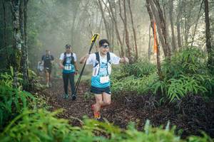 BIB: 
                            <button type="button" onclick="openModal(26444666)" class="btn btn-primary btn-sm float-right btn-popup" data-toggle="modal" data-target=".modal-high-quality">
                        <i class="fas fa-shopping-cart"></i> Add to Cart
                    </button>
                                            <button type="button" onclick="isThisMe(26444666, true)" class="btn btn-success btn-sm float-right btn-popup btn-isme hidden" data-toggle="tooltip" data-placement="bottom" title="นี่คือรูปของคุณใช่ไหม คลิกที่นี่เพื่อเอาเข้าอัลบั้ม">
                        <i class="fas fa-plus"></i> Add to album
                    </button>
                    <button type="button" onclick="isThisMe(26444666, false)" class="btn btn-warning btn-sm float-right btn-popup btn-isnotme hidden">
                        <i class="fas fa-ban"></i> Remove from album
                    </button>