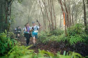 BIB: 
                            <button type="button" onclick="openModal(26445492)" class="btn btn-primary btn-sm float-right btn-popup" data-toggle="modal" data-target=".modal-high-quality">
                        <i class="fas fa-shopping-cart"></i> Add to Cart
                    </button>
                                            <button type="button" onclick="isThisMe(26445492, true)" class="btn btn-success btn-sm float-right btn-popup btn-isme hidden" data-toggle="tooltip" data-placement="bottom" title="นี่คือรูปของคุณใช่ไหม คลิกที่นี่เพื่อเอาเข้าอัลบั้ม">
                        <i class="fas fa-plus"></i> Add to album
                    </button>
                    <button type="button" onclick="isThisMe(26445492, false)" class="btn btn-warning btn-sm float-right btn-popup btn-isnotme hidden">
                        <i class="fas fa-ban"></i> Remove from album
                    </button>