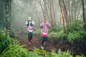 BIB: 
                            <button type="button" onclick="openModal(26445165)" class="btn btn-primary btn-sm float-right btn-popup" data-toggle="modal" data-target=".modal-high-quality">
                        <i class="fas fa-shopping-cart"></i> Add to Cart
                    </button>
                                            <button type="button" onclick="isThisMe(26445165, true)" class="btn btn-success btn-sm float-right btn-popup btn-isme hidden" data-toggle="tooltip" data-placement="bottom" title="นี่คือรูปของคุณใช่ไหม คลิกที่นี่เพื่อเอาเข้าอัลบั้ม">
                        <i class="fas fa-plus"></i> Add to album
                    </button>
                    <button type="button" onclick="isThisMe(26445165, false)" class="btn btn-warning btn-sm float-right btn-popup btn-isnotme hidden">
                        <i class="fas fa-ban"></i> Remove from album
                    </button>