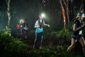 BIB: 
                            <button type="button" onclick="openModal(26433556)" class="btn btn-primary btn-sm float-right btn-popup" data-toggle="modal" data-target=".modal-high-quality">
                        <i class="fas fa-shopping-cart"></i> Add to Cart
                    </button>
                                            <button type="button" onclick="isThisMe(26433556, true)" class="btn btn-success btn-sm float-right btn-popup btn-isme hidden" data-toggle="tooltip" data-placement="bottom" title="นี่คือรูปของคุณใช่ไหม คลิกที่นี่เพื่อเอาเข้าอัลบั้ม">
                        <i class="fas fa-plus"></i> Add to album
                    </button>
                    <button type="button" onclick="isThisMe(26433556, false)" class="btn btn-warning btn-sm float-right btn-popup btn-isnotme hidden">
                        <i class="fas fa-ban"></i> Remove from album
                    </button>