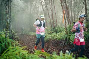 BIB: 
                            <button type="button" onclick="openModal(26445179)" class="btn btn-primary btn-sm float-right btn-popup" data-toggle="modal" data-target=".modal-high-quality">
                        <i class="fas fa-shopping-cart"></i> Add to Cart
                    </button>
                                            <button type="button" onclick="isThisMe(26445179, true)" class="btn btn-success btn-sm float-right btn-popup btn-isme hidden" data-toggle="tooltip" data-placement="bottom" title="นี่คือรูปของคุณใช่ไหม คลิกที่นี่เพื่อเอาเข้าอัลบั้ม">
                        <i class="fas fa-plus"></i> Add to album
                    </button>
                    <button type="button" onclick="isThisMe(26445179, false)" class="btn btn-warning btn-sm float-right btn-popup btn-isnotme hidden">
                        <i class="fas fa-ban"></i> Remove from album
                    </button>