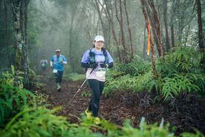 BIB: 
                            <button type="button" onclick="openModal(26444964)" class="btn btn-primary btn-sm float-right btn-popup" data-toggle="modal" data-target=".modal-high-quality">
                        <i class="fas fa-shopping-cart"></i> Add to Cart
                    </button>
                                            <button type="button" onclick="isThisMe(26444964, true)" class="btn btn-success btn-sm float-right btn-popup btn-isme hidden" data-toggle="tooltip" data-placement="bottom" title="นี่คือรูปของคุณใช่ไหม คลิกที่นี่เพื่อเอาเข้าอัลบั้ม">
                        <i class="fas fa-plus"></i> Add to album
                    </button>
                    <button type="button" onclick="isThisMe(26444964, false)" class="btn btn-warning btn-sm float-right btn-popup btn-isnotme hidden">
                        <i class="fas fa-ban"></i> Remove from album
                    </button>