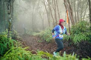 BIB: 
                            <button type="button" onclick="openModal(26445419)" class="btn btn-primary btn-sm float-right btn-popup" data-toggle="modal" data-target=".modal-high-quality">
                        <i class="fas fa-shopping-cart"></i> Add to Cart
                    </button>
                                            <button type="button" onclick="isThisMe(26445419, true)" class="btn btn-success btn-sm float-right btn-popup btn-isme hidden" data-toggle="tooltip" data-placement="bottom" title="นี่คือรูปของคุณใช่ไหม คลิกที่นี่เพื่อเอาเข้าอัลบั้ม">
                        <i class="fas fa-plus"></i> Add to album
                    </button>
                    <button type="button" onclick="isThisMe(26445419, false)" class="btn btn-warning btn-sm float-right btn-popup btn-isnotme hidden">
                        <i class="fas fa-ban"></i> Remove from album
                    </button>