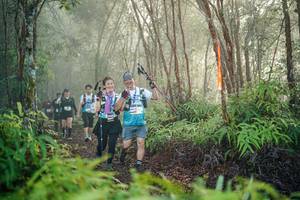 BIB: 
                            <button type="button" onclick="openModal(26445495)" class="btn btn-primary btn-sm float-right btn-popup" data-toggle="modal" data-target=".modal-high-quality">
                        <i class="fas fa-shopping-cart"></i> Add to Cart
                    </button>
                                            <button type="button" onclick="isThisMe(26445495, true)" class="btn btn-success btn-sm float-right btn-popup btn-isme hidden" data-toggle="tooltip" data-placement="bottom" title="นี่คือรูปของคุณใช่ไหม คลิกที่นี่เพื่อเอาเข้าอัลบั้ม">
                        <i class="fas fa-plus"></i> Add to album
                    </button>
                    <button type="button" onclick="isThisMe(26445495, false)" class="btn btn-warning btn-sm float-right btn-popup btn-isnotme hidden">
                        <i class="fas fa-ban"></i> Remove from album
                    </button>