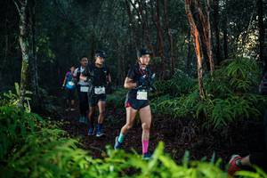 BIB: 
                            <button type="button" onclick="openModal(26439096)" class="btn btn-primary btn-sm float-right btn-popup" data-toggle="modal" data-target=".modal-high-quality">
                        <i class="fas fa-shopping-cart"></i> Add to Cart
                    </button>
                                            <button type="button" onclick="isThisMe(26439096, true)" class="btn btn-success btn-sm float-right btn-popup btn-isme hidden" data-toggle="tooltip" data-placement="bottom" title="นี่คือรูปของคุณใช่ไหม คลิกที่นี่เพื่อเอาเข้าอัลบั้ม">
                        <i class="fas fa-plus"></i> Add to album
                    </button>
                    <button type="button" onclick="isThisMe(26439096, false)" class="btn btn-warning btn-sm float-right btn-popup btn-isnotme hidden">
                        <i class="fas fa-ban"></i> Remove from album
                    </button>