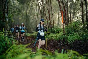 BIB: 
                            <button type="button" onclick="openModal(26445671)" class="btn btn-primary btn-sm float-right btn-popup" data-toggle="modal" data-target=".modal-high-quality">
                        <i class="fas fa-shopping-cart"></i> Add to Cart
                    </button>
                                            <button type="button" onclick="isThisMe(26445671, true)" class="btn btn-success btn-sm float-right btn-popup btn-isme hidden" data-toggle="tooltip" data-placement="bottom" title="นี่คือรูปของคุณใช่ไหม คลิกที่นี่เพื่อเอาเข้าอัลบั้ม">
                        <i class="fas fa-plus"></i> Add to album
                    </button>
                    <button type="button" onclick="isThisMe(26445671, false)" class="btn btn-warning btn-sm float-right btn-popup btn-isnotme hidden">
                        <i class="fas fa-ban"></i> Remove from album
                    </button>