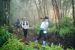 BIB: 
                            <button type="button" onclick="openModal(26444162)" class="btn btn-primary btn-sm float-right btn-popup" data-toggle="modal" data-target=".modal-high-quality">
                        <i class="fas fa-shopping-cart"></i> Add to Cart
                    </button>
                                            <button type="button" onclick="isThisMe(26444162, true)" class="btn btn-success btn-sm float-right btn-popup btn-isme hidden" data-toggle="tooltip" data-placement="bottom" title="นี่คือรูปของคุณใช่ไหม คลิกที่นี่เพื่อเอาเข้าอัลบั้ม">
                        <i class="fas fa-plus"></i> Add to album
                    </button>
                    <button type="button" onclick="isThisMe(26444162, false)" class="btn btn-warning btn-sm float-right btn-popup btn-isnotme hidden">
                        <i class="fas fa-ban"></i> Remove from album
                    </button>