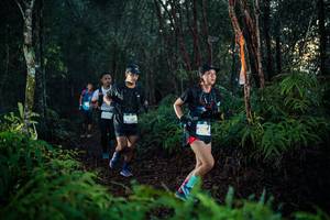 BIB: 
                            <button type="button" onclick="openModal(26439101)" class="btn btn-primary btn-sm float-right btn-popup" data-toggle="modal" data-target=".modal-high-quality">
                        <i class="fas fa-shopping-cart"></i> Add to Cart
                    </button>
                                            <button type="button" onclick="isThisMe(26439101, true)" class="btn btn-success btn-sm float-right btn-popup btn-isme hidden" data-toggle="tooltip" data-placement="bottom" title="นี่คือรูปของคุณใช่ไหม คลิกที่นี่เพื่อเอาเข้าอัลบั้ม">
                        <i class="fas fa-plus"></i> Add to album
                    </button>
                    <button type="button" onclick="isThisMe(26439101, false)" class="btn btn-warning btn-sm float-right btn-popup btn-isnotme hidden">
                        <i class="fas fa-ban"></i> Remove from album
                    </button>