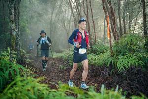 BIB: 
                            <button type="button" onclick="openModal(26444808)" class="btn btn-primary btn-sm float-right btn-popup" data-toggle="modal" data-target=".modal-high-quality">
                        <i class="fas fa-shopping-cart"></i> Add to Cart
                    </button>
                                            <button type="button" onclick="isThisMe(26444808, true)" class="btn btn-success btn-sm float-right btn-popup btn-isme hidden" data-toggle="tooltip" data-placement="bottom" title="นี่คือรูปของคุณใช่ไหม คลิกที่นี่เพื่อเอาเข้าอัลบั้ม">
                        <i class="fas fa-plus"></i> Add to album
                    </button>
                    <button type="button" onclick="isThisMe(26444808, false)" class="btn btn-warning btn-sm float-right btn-popup btn-isnotme hidden">
                        <i class="fas fa-ban"></i> Remove from album
                    </button>