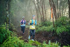 BIB: 
                            <button type="button" onclick="openModal(26444438)" class="btn btn-primary btn-sm float-right btn-popup" data-toggle="modal" data-target=".modal-high-quality">
                        <i class="fas fa-shopping-cart"></i> Add to Cart
                    </button>
                                            <button type="button" onclick="isThisMe(26444438, true)" class="btn btn-success btn-sm float-right btn-popup btn-isme hidden" data-toggle="tooltip" data-placement="bottom" title="นี่คือรูปของคุณใช่ไหม คลิกที่นี่เพื่อเอาเข้าอัลบั้ม">
                        <i class="fas fa-plus"></i> Add to album
                    </button>
                    <button type="button" onclick="isThisMe(26444438, false)" class="btn btn-warning btn-sm float-right btn-popup btn-isnotme hidden">
                        <i class="fas fa-ban"></i> Remove from album
                    </button>